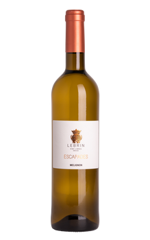 Mélignon 2024 - LEBRIN VINS LIBRES