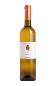 Sauvignon 2024 - Domaine du Grand Logis
