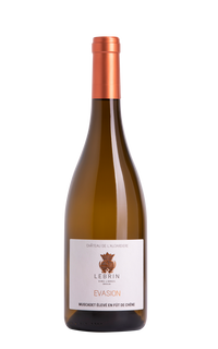 Muscadet Élevé en fût de Chêne 2023